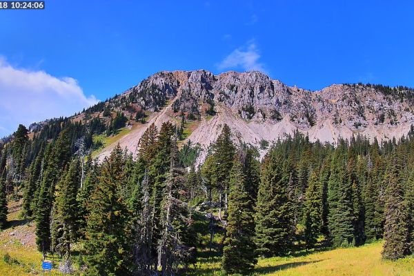 Bridger Bowl Alpine Apron - Bozeman, MT