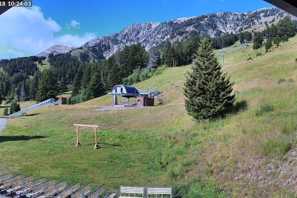 Bridger Bowl Deer Park - Bozeman, MT