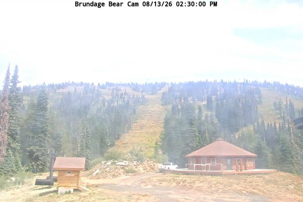 Brundage Mountain Bear Chair - McCall, ID