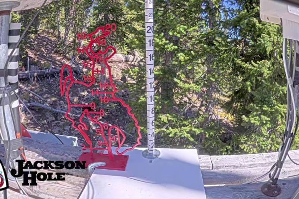 JHMR - Snow Stake - Teton Village, WY