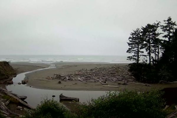 Kalaloch Beach - Forks, WA