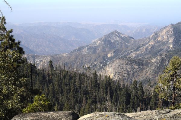 Kings Canyon National Park