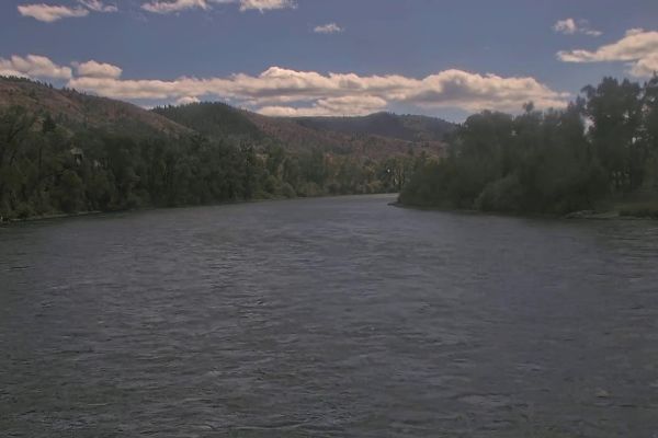 South Fork of the Snake at Palisades Creek - Swan Valley, ID